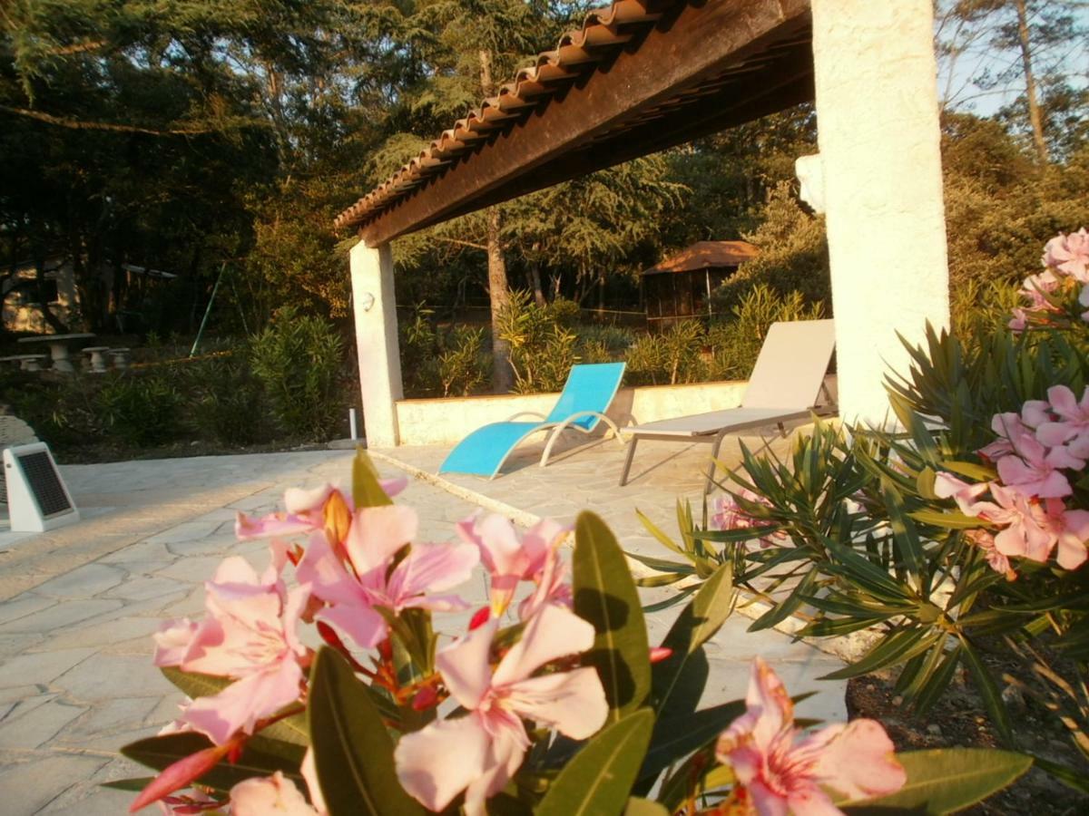 Lorgues, La Tourelle, Immense Piscine, Plongeoir, Vue, Au Grand Calme Villa Exterior photo